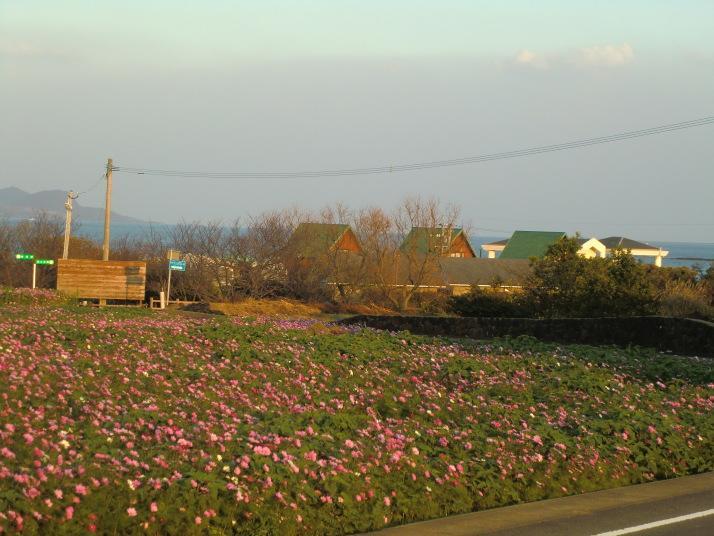 Sansan Tomie Camp Village Goto Exterior foto